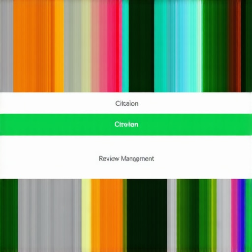 Screenshot of BrightLocal's interface displaying citation audits and review tracking